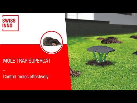 Mole Trap SuperCat SWISSINNO