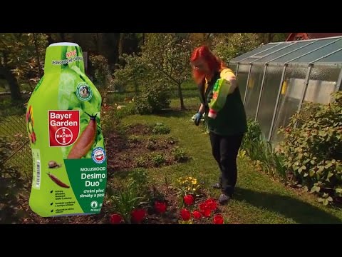 Bayer Garden Desimo Duo® - zahrada bez slimáků a plzáků