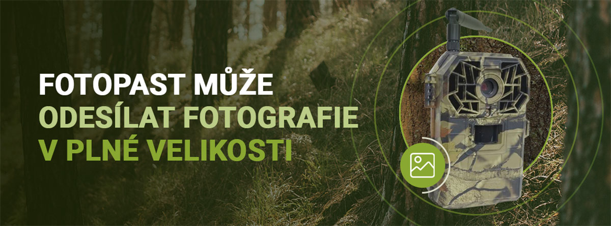 fotopast-bunaty-plna kvalita-fotek