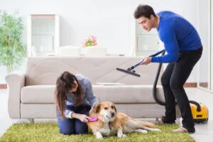 Prírodné metódy na ochranu vašej domácnosti pred blchami