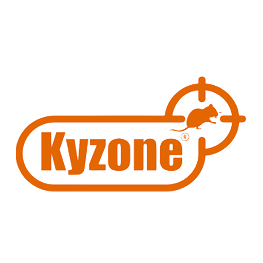 Kyzone