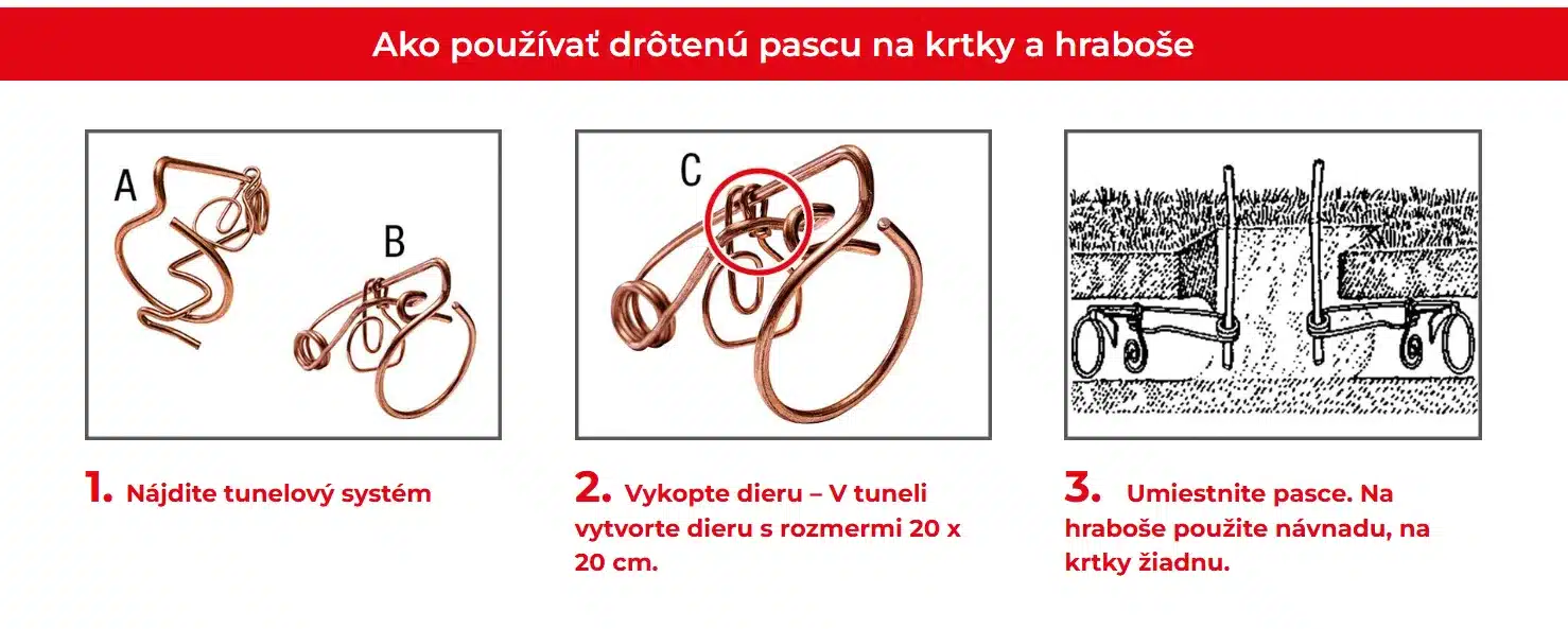 Ako používať pascu SWISSINNO® na krtkov a hraboše – krokový návod inštalácie