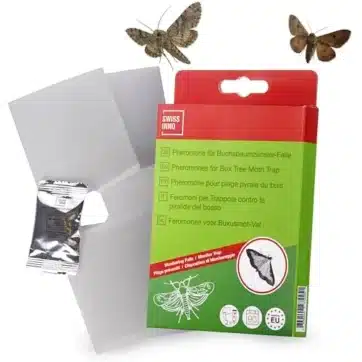 SWISSINNO® náhradná návnada do pasce na mole krušpánu, 2 ks
