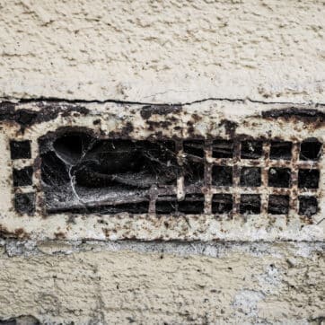 Mechanická ochrana pred hlodavcami