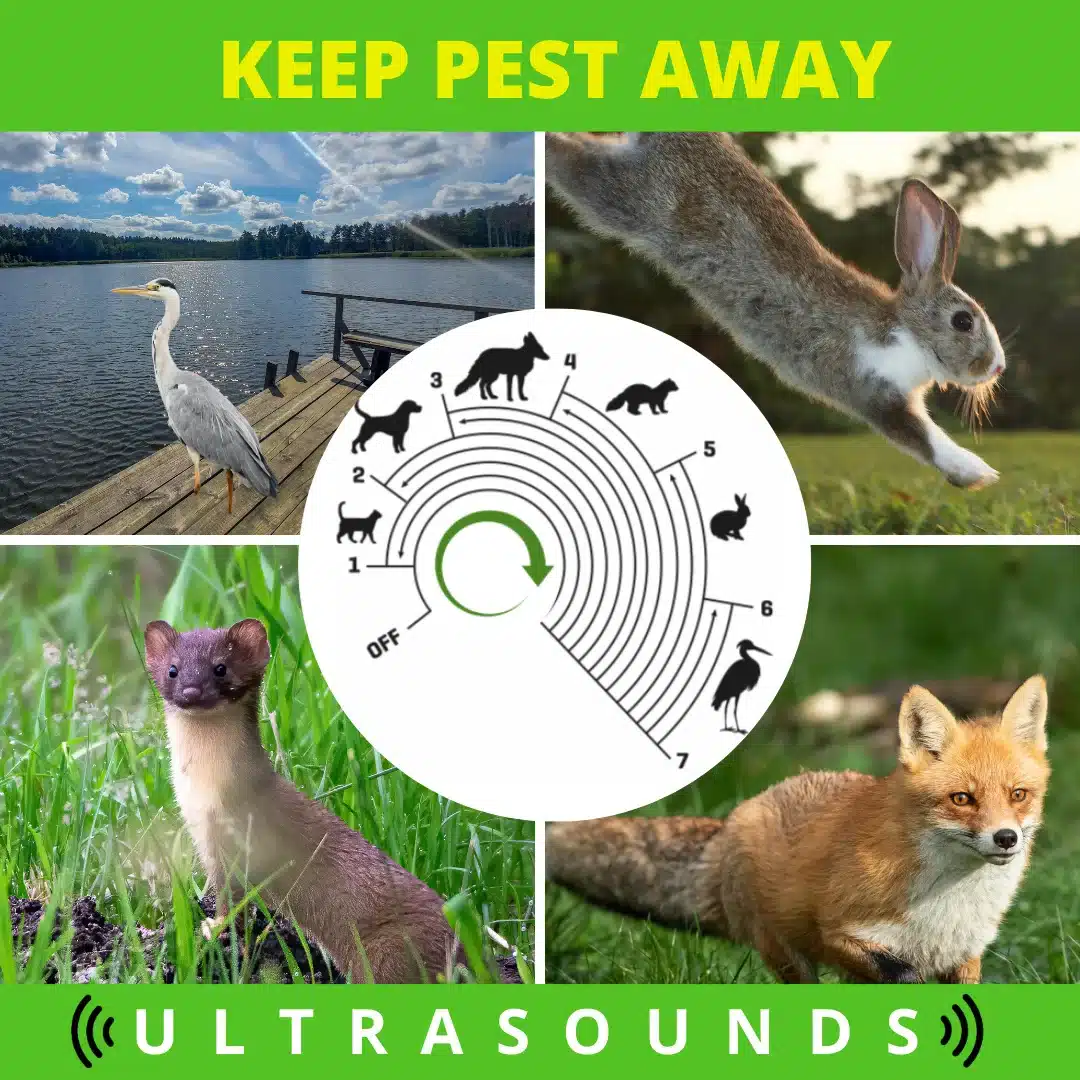 zadna-strana-weitech-wk0054-nastavenie-frekvencii